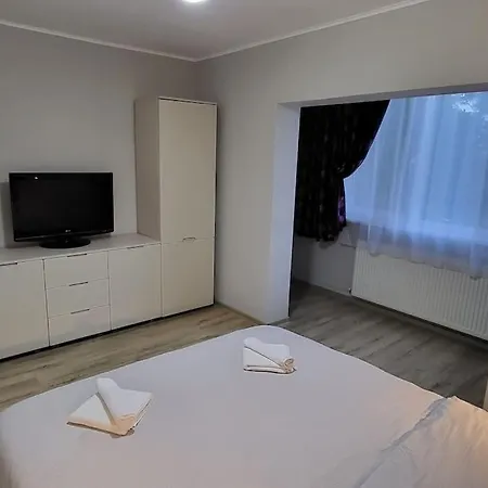 Apartment Sarianni Timisoara