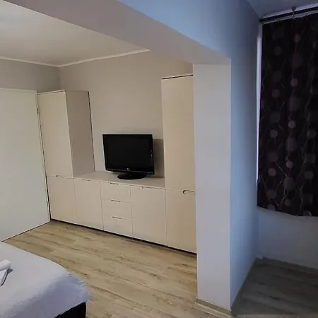 Sarianni Timisoara